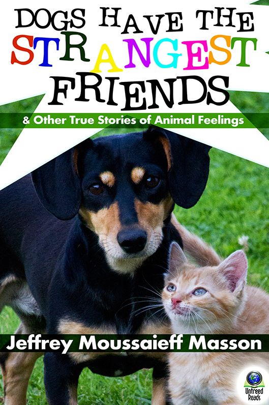 Dogs Have the Strangest Friends (And Other True Stories of Animal Feelings)