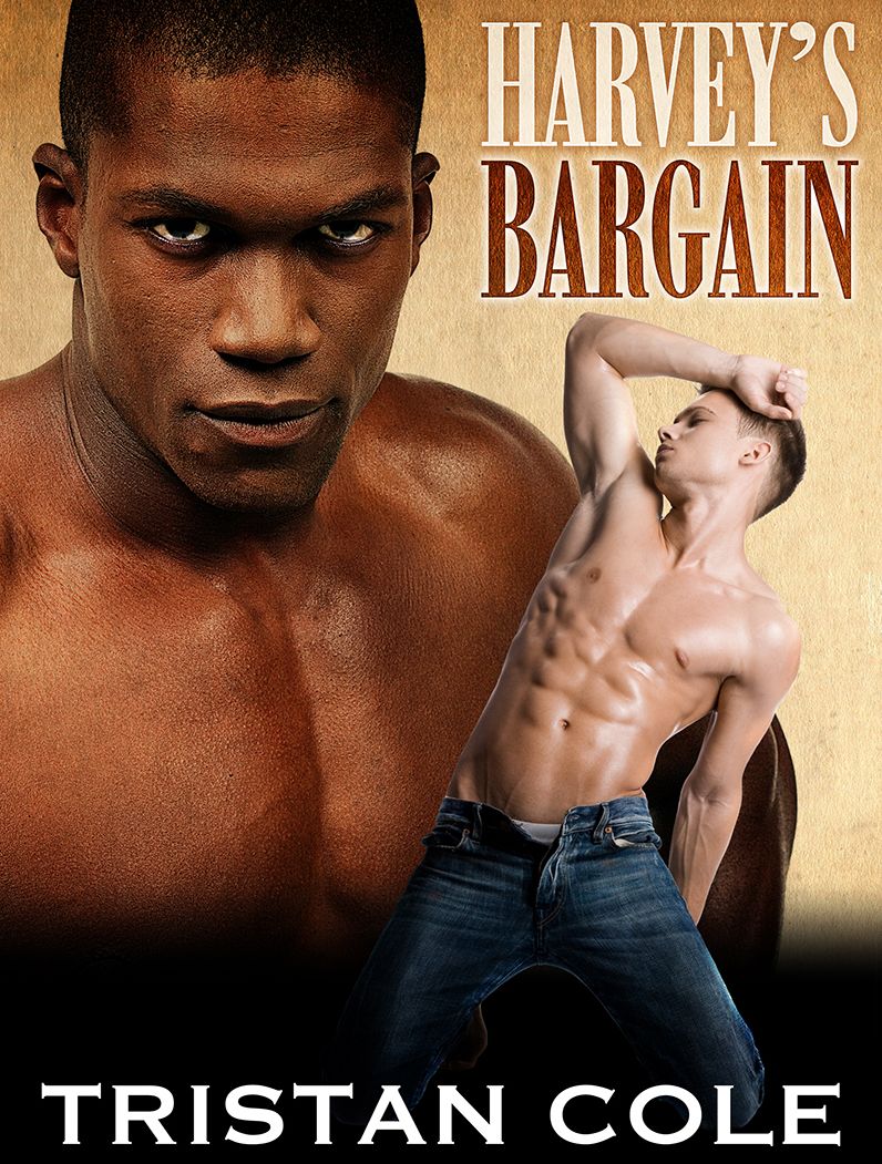 Harvey's Bargain