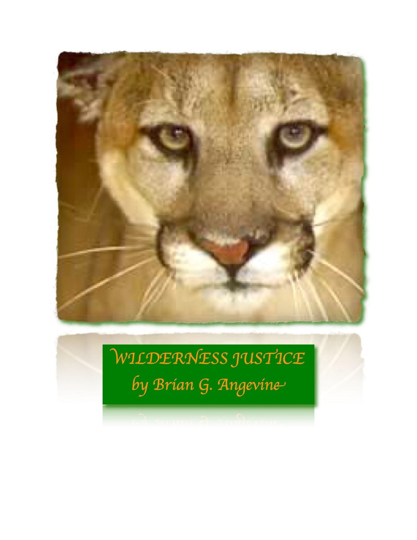 Wilderness Justice