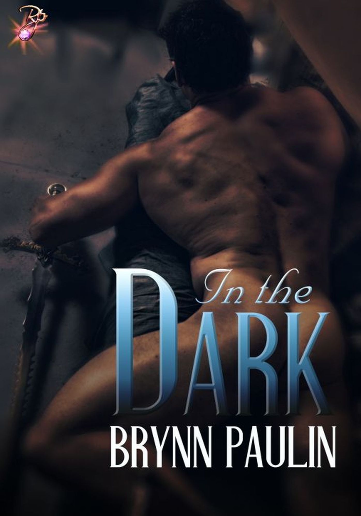 In the Dark (Silken Threads Series, Book One) by Brynn Paulin