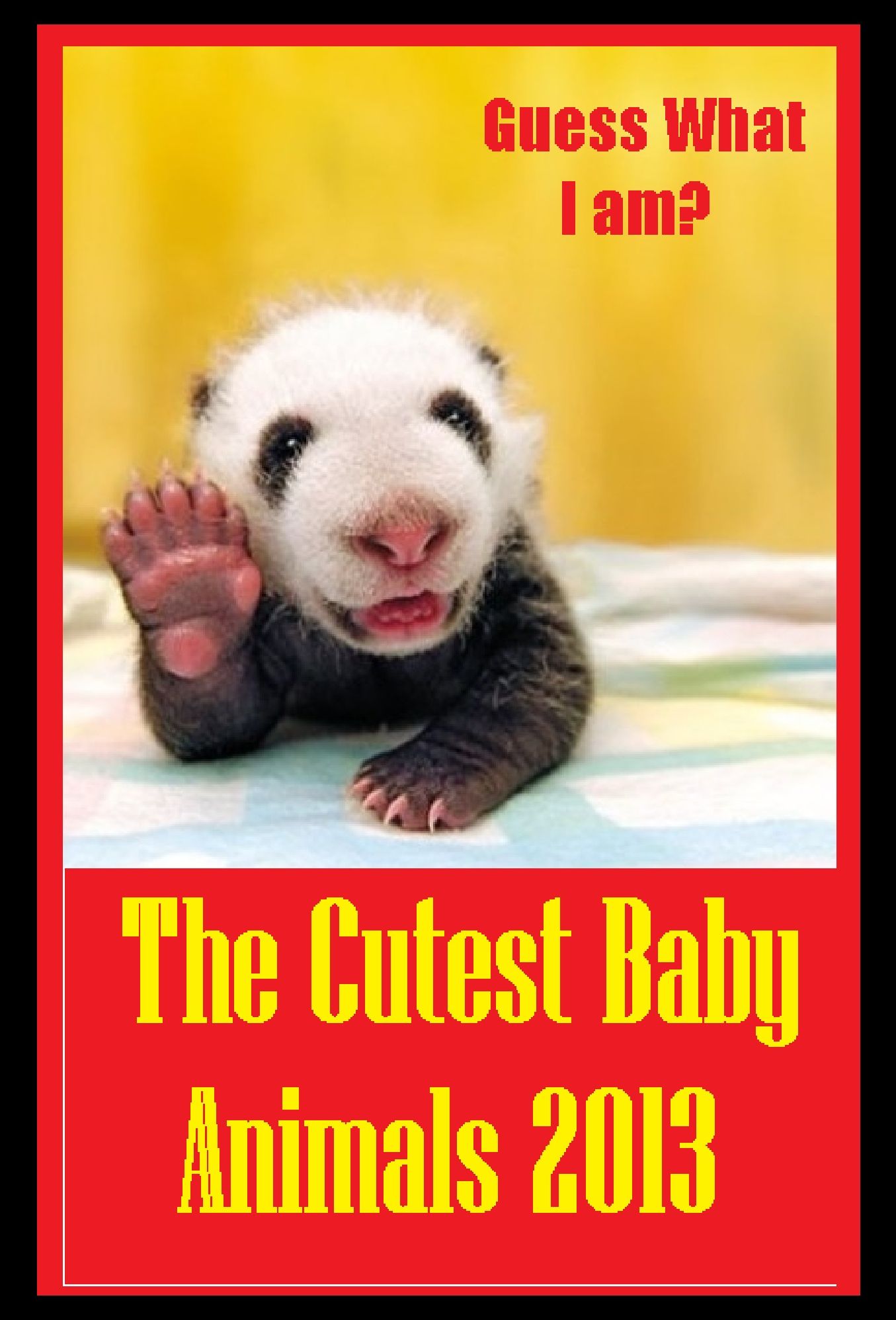 NOOK Kids: 99 Cent Animal Cutest Babies 2013( nature Children, amazing animals, cutest animals, baby animals, wild, forest, beast, animals )