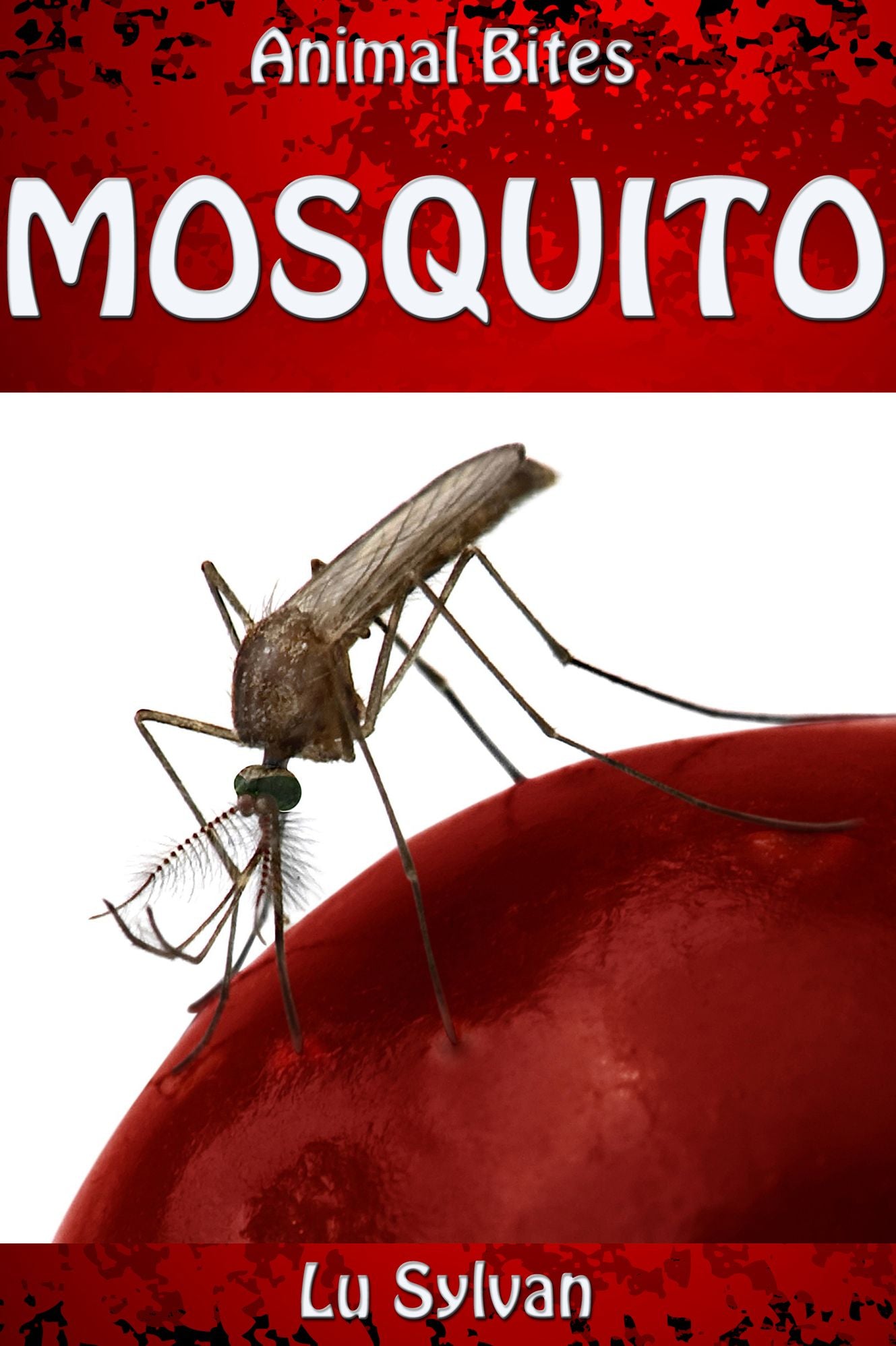 Animal Bites: MOSQUITO