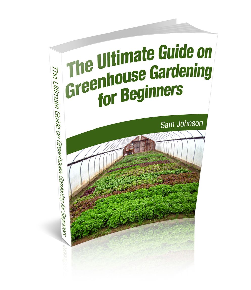 The Ultimate Guide on Greenhouse Gardening for Beginners