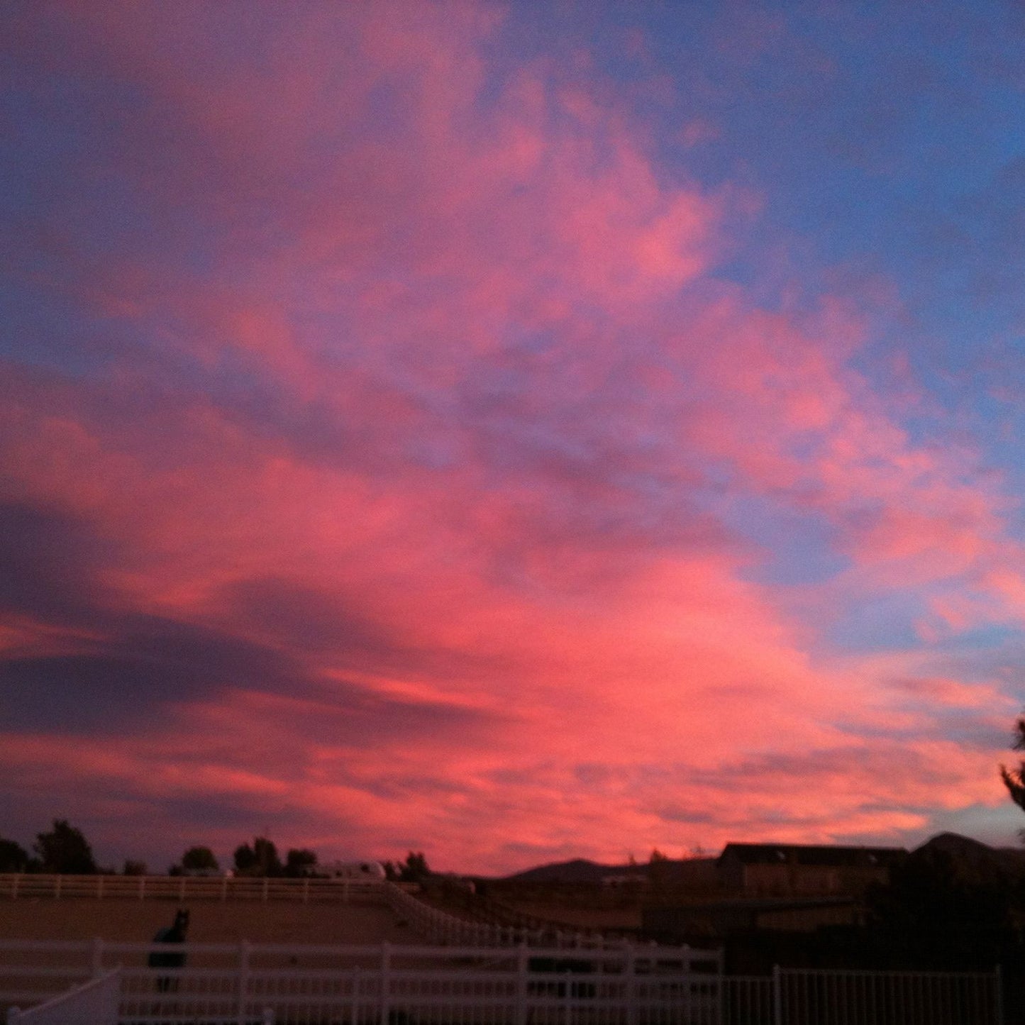Flame in the Desert