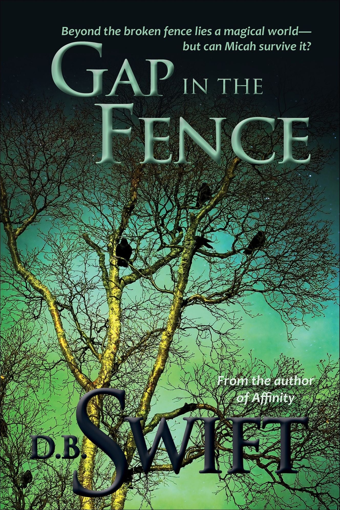 Gap in the Fence Omnibus