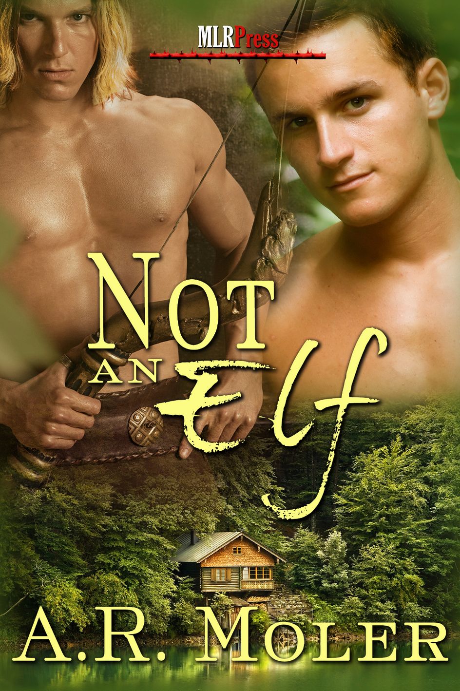 Not An Elf