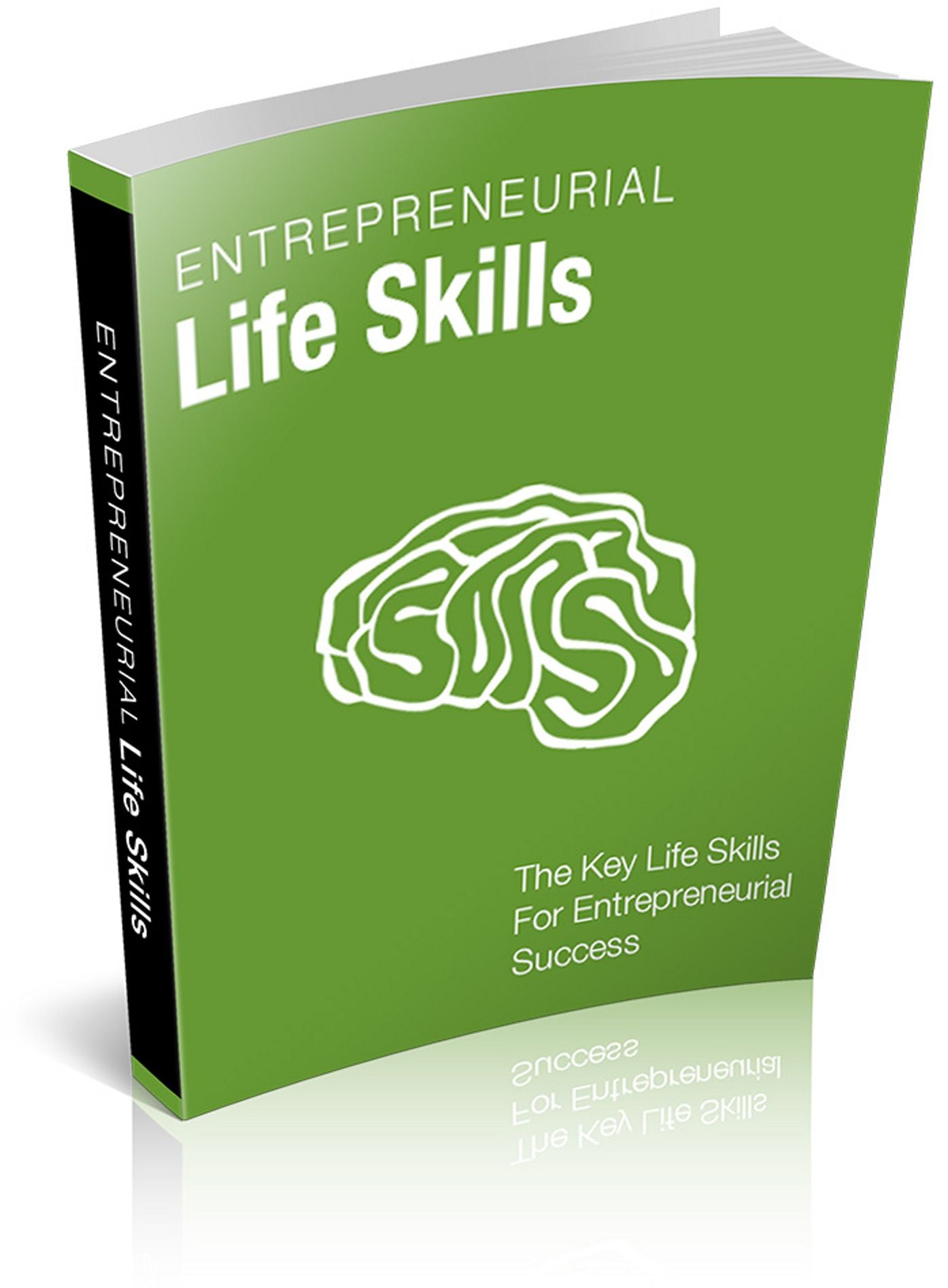 Entrepreneurial Life Skills: The Key Life Skills For Entrepreneurial Success! (Brand New) AAA++