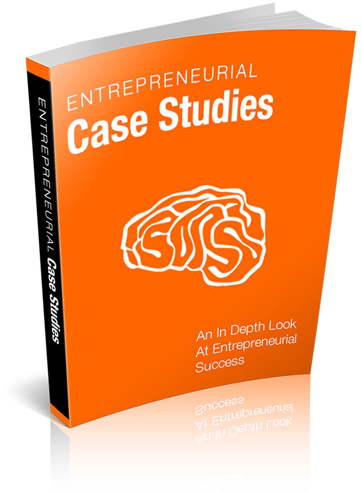 Entrepreneurial Case Studies: An Indepth Look At Entrepreneurial Success! (Brand New) AAA+++