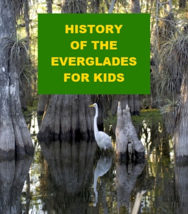 History of the Everglades for Kids
