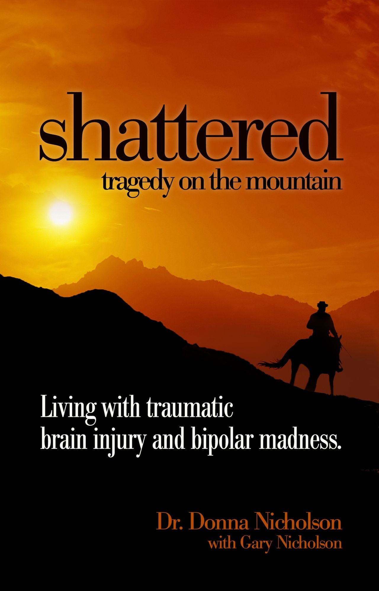 Shattered: Tragedy on the Mountain - Living with Traumatic Brain Injury and Bipolar Madness