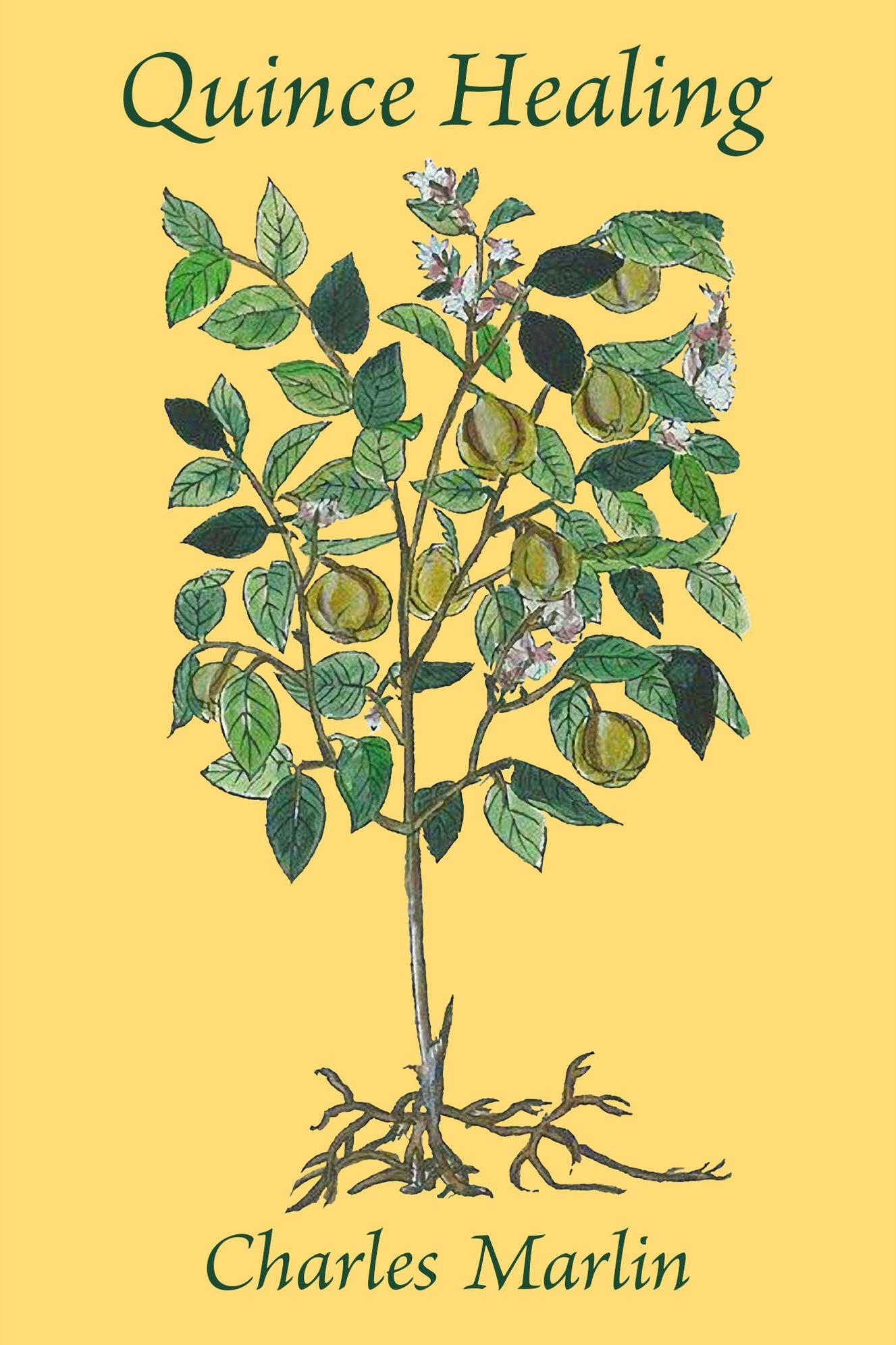 Quince Healing