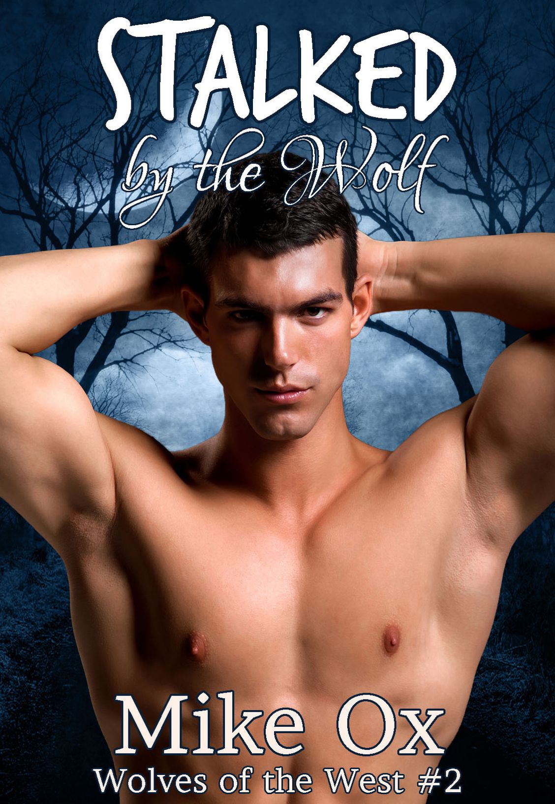 Wolves of the West #2: Stalked by the Wolf (Reluctant Gay Werewolf BDSM)