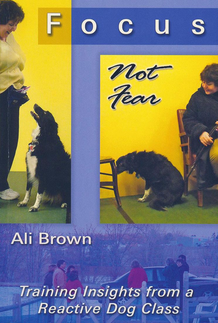 Focus, Not Fear: Training Insights from a Reactive Dog Class
