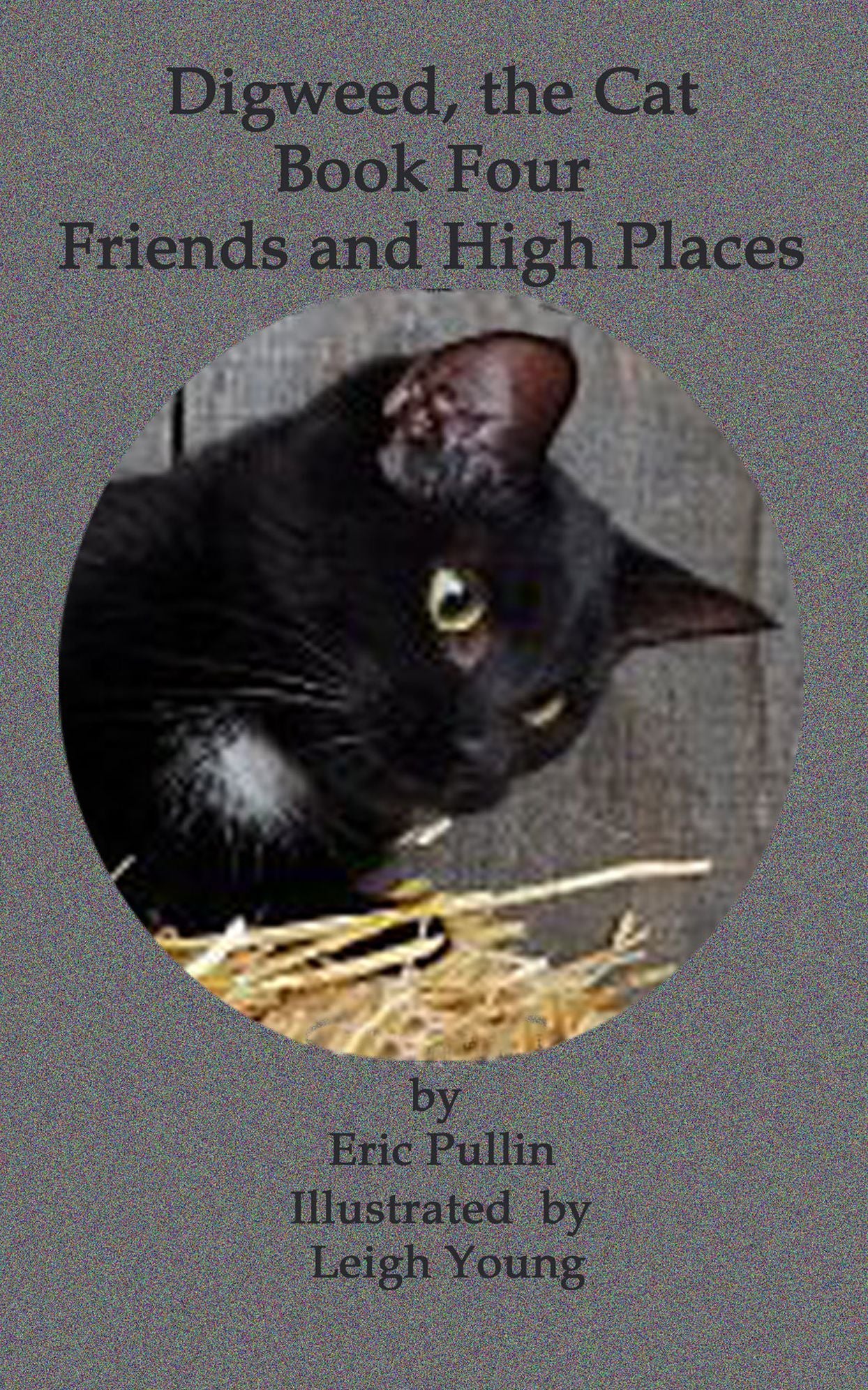 Digweed, the Cat Friends and High Places