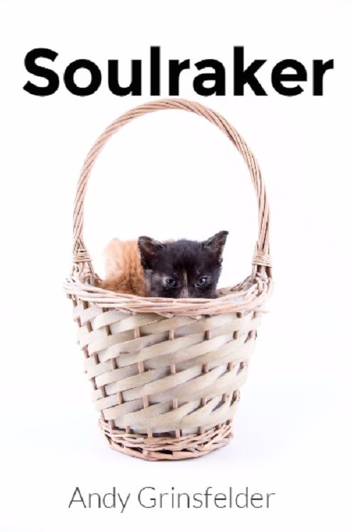 Soulraker