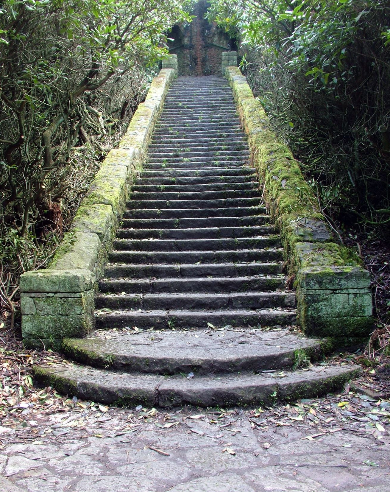 The Threshold Grace:Meditation in the Psalms
