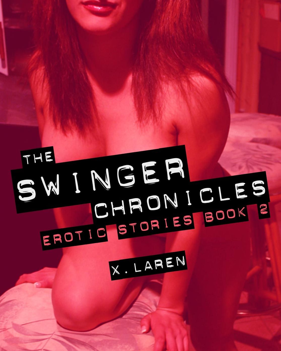 The Swinger Chronicles: Erotic Stories Book 2