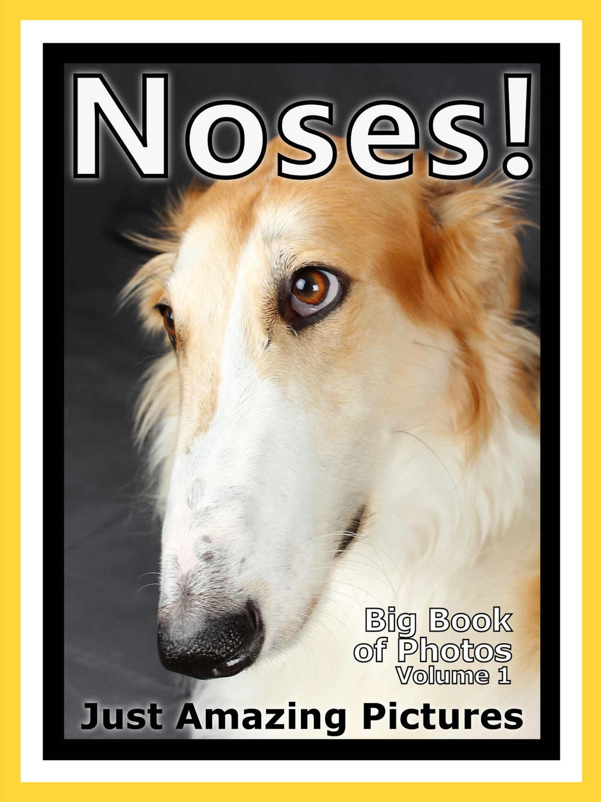 Just Nose Photos! Big Book of Photographs & Pictures of Animal & People Noses, Vol. 1