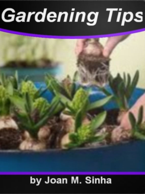Gardening Tips: An Introductory Guide for Learning About Gardening, Planning, Tips, Organic Options, Design Ideas, Benefits For Children And Much More!