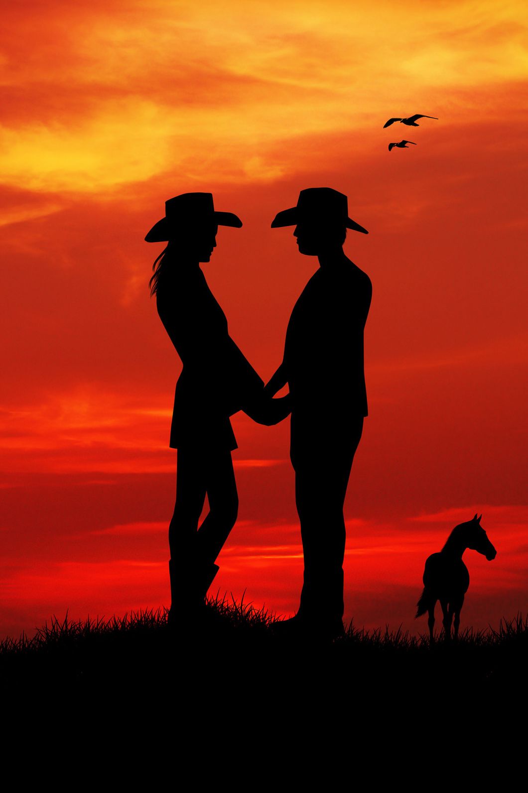 The Internet Cowboy
