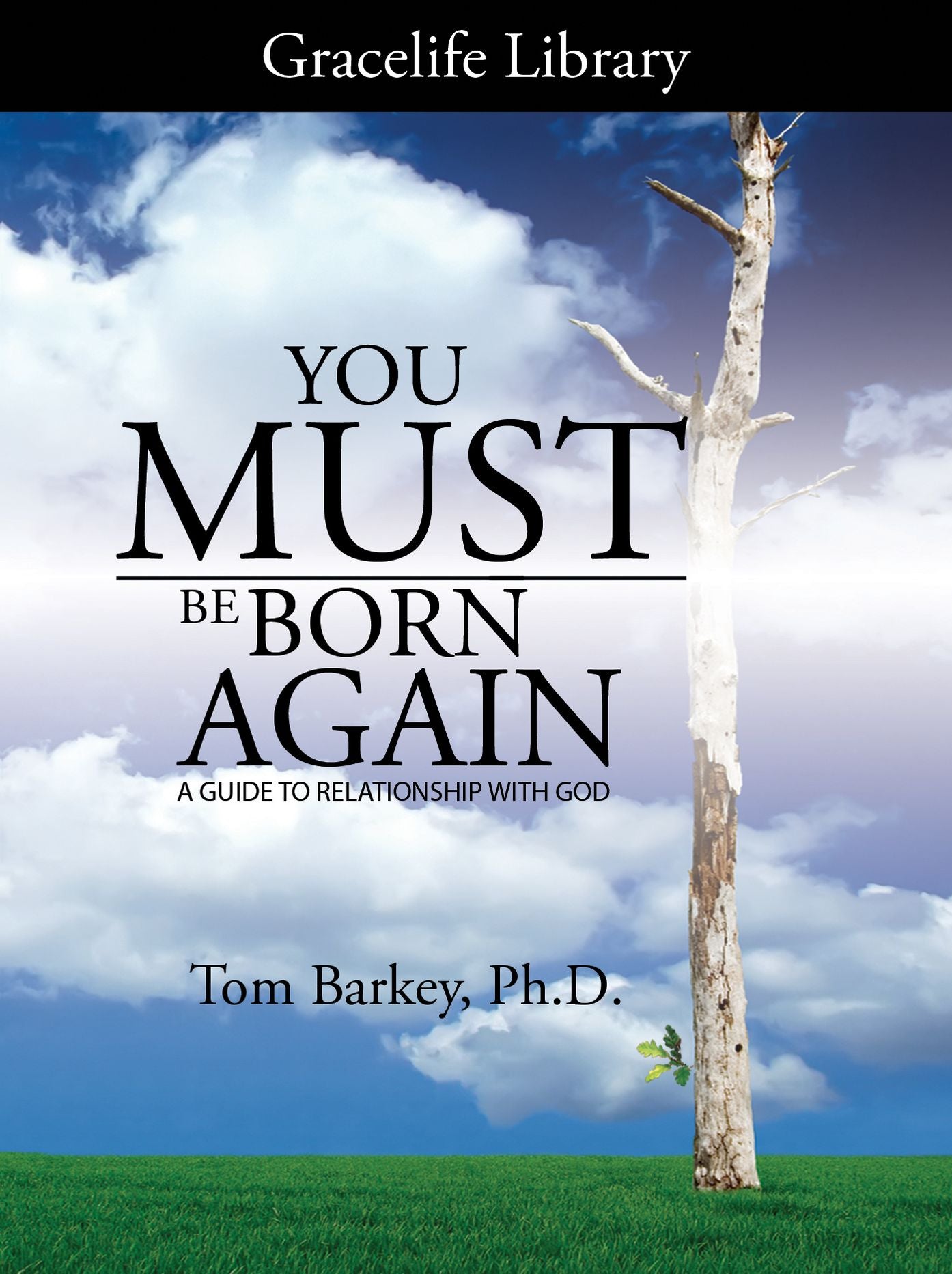 You Must Be Born Again