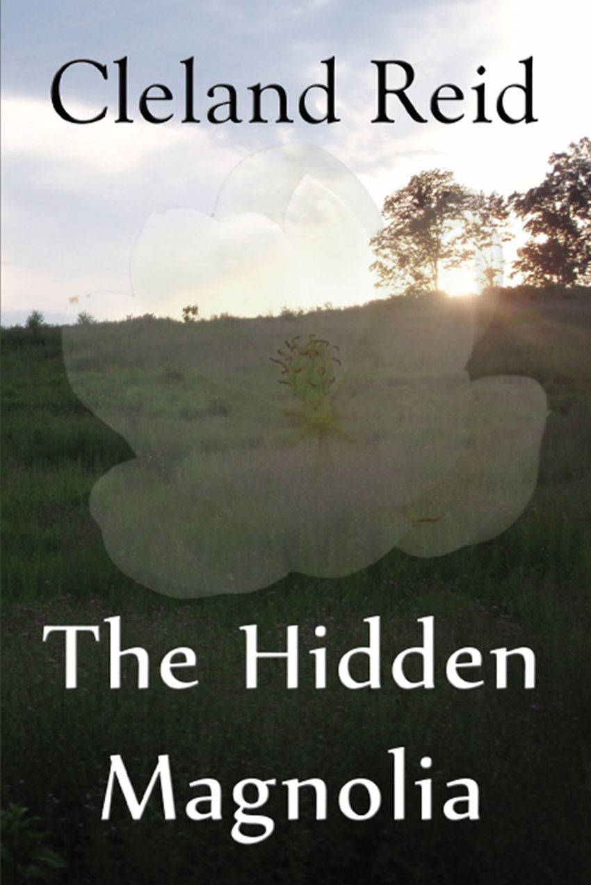 The Hidden Magnolia