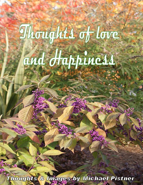 Thoughts of Love and Happiness