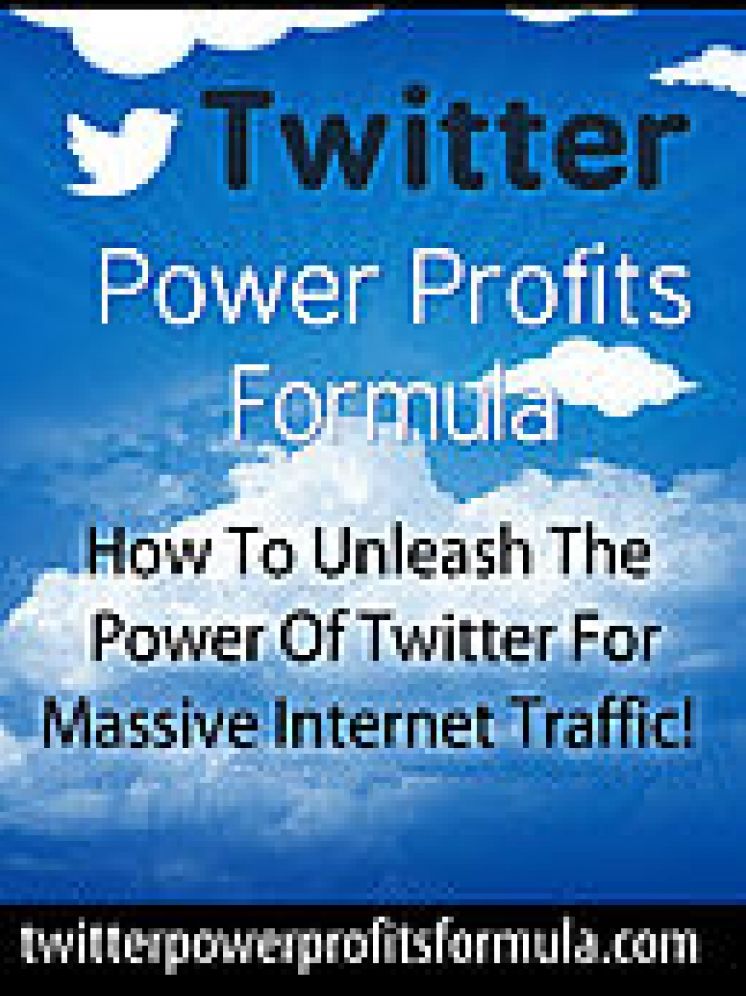 Twitter Marketing - Twitter Power Profits Formula: How To Unleash The Profit Power Of Twitter
