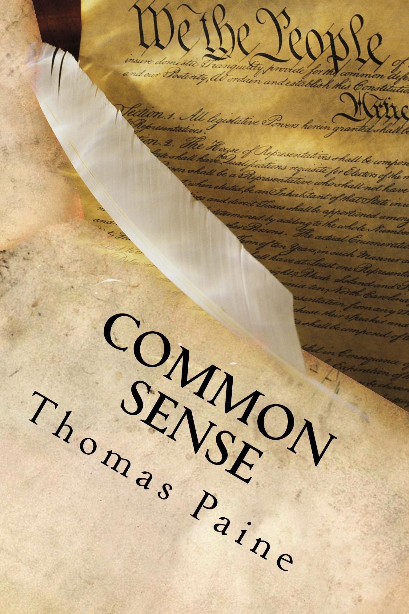 Common Sense (Illustrated)