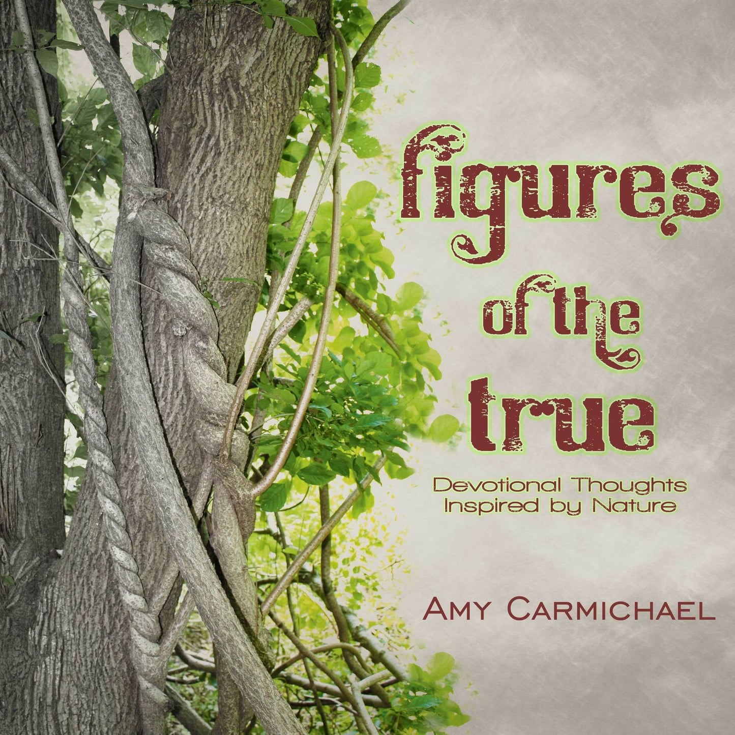 Figures of the True: Devotional Thoughts Inspired by Nature