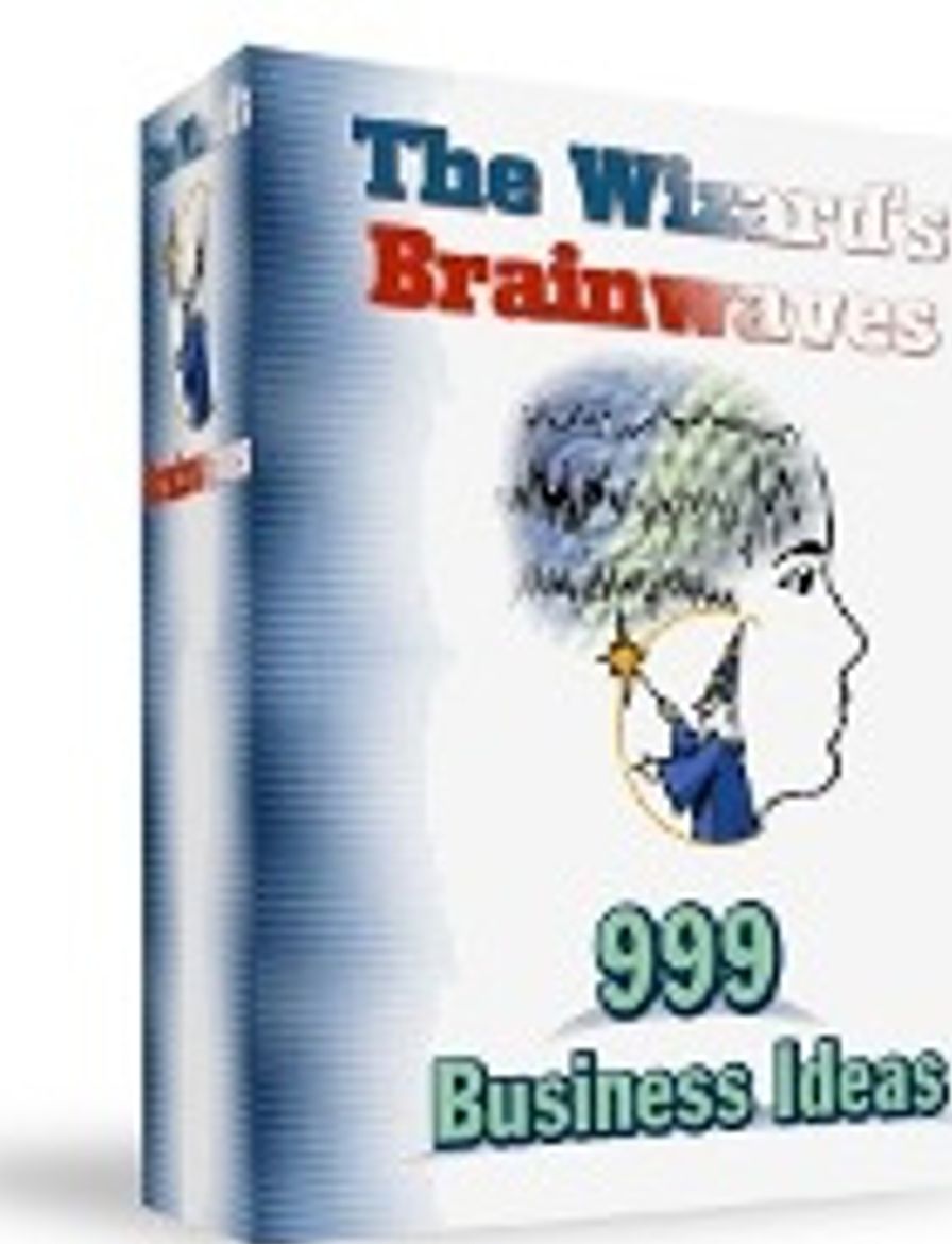 The Wizard's Brainwaves: 999 Business Ideas