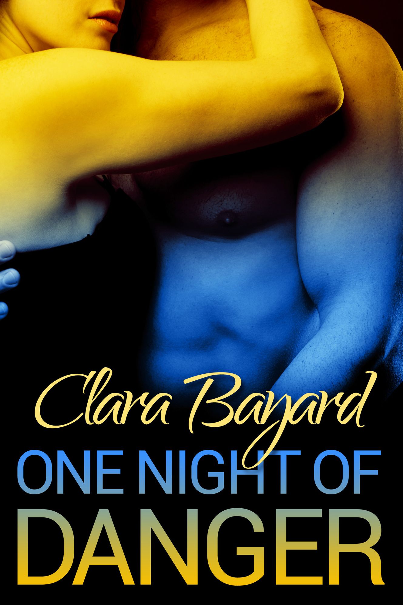 One Night of Danger (BBW Romantic Suspense)