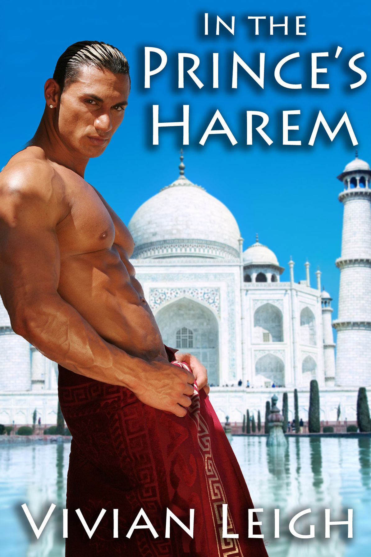 In the Prince's Harem (Historical Romance)