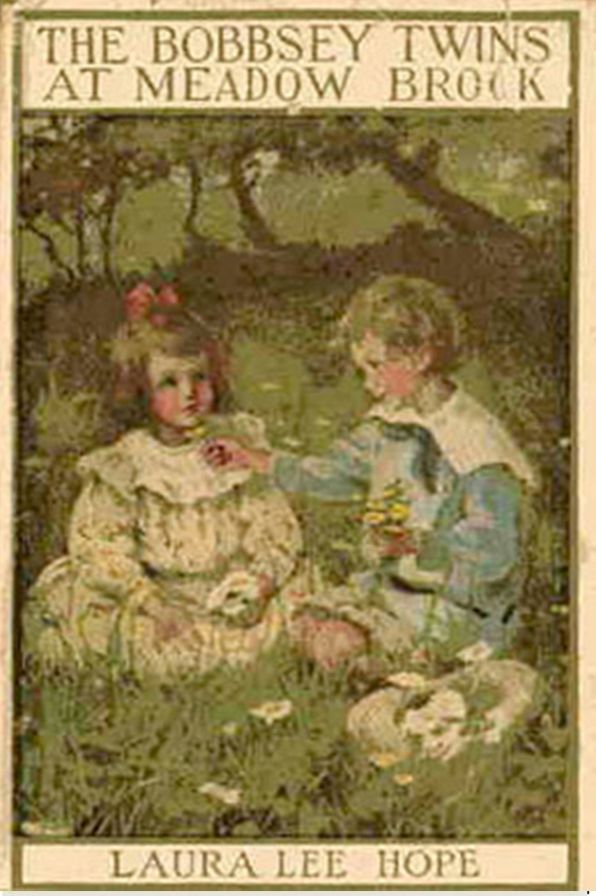 The Bobbsey Twins at Meadow Brook