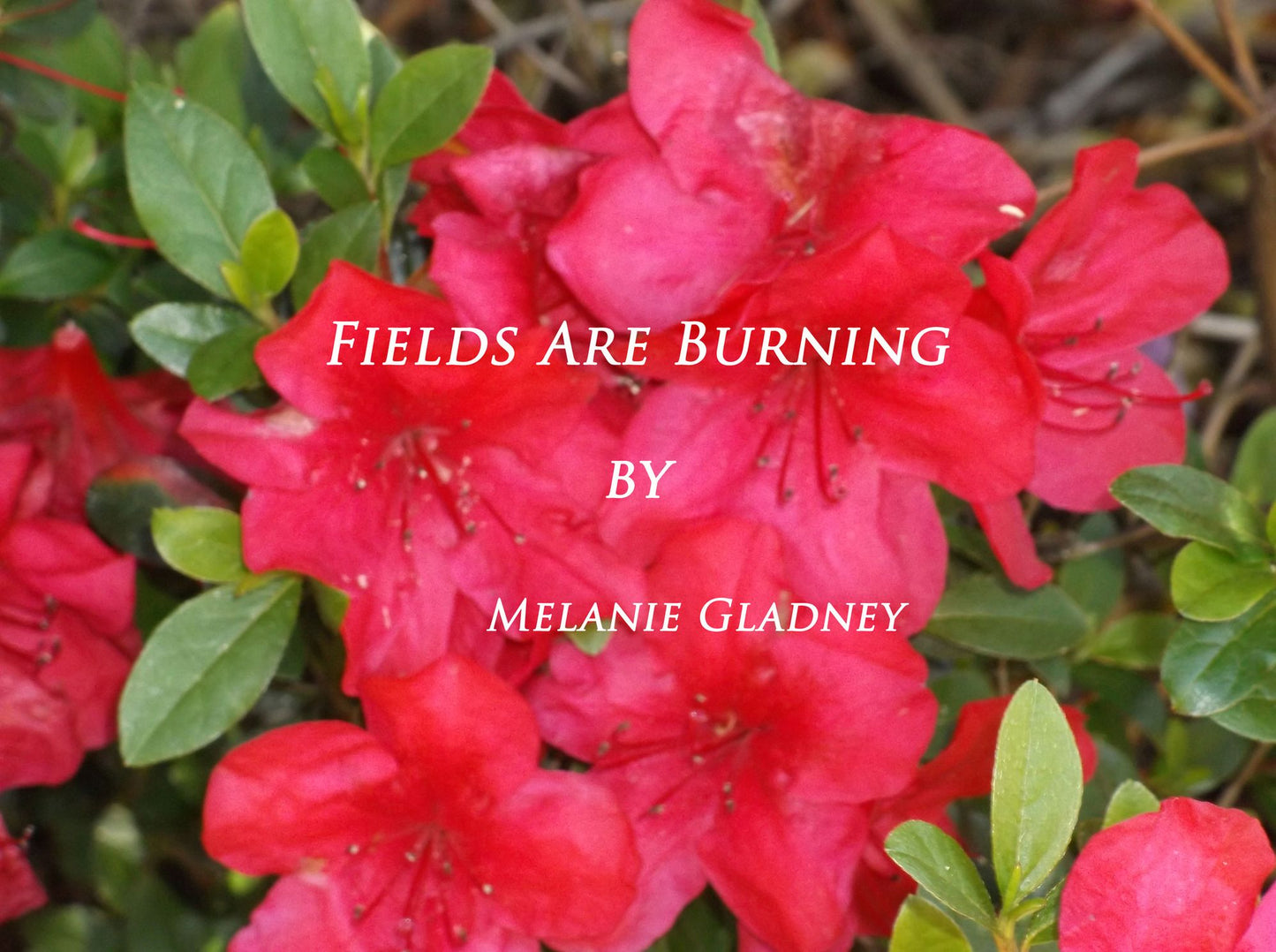 Fields Are Burning