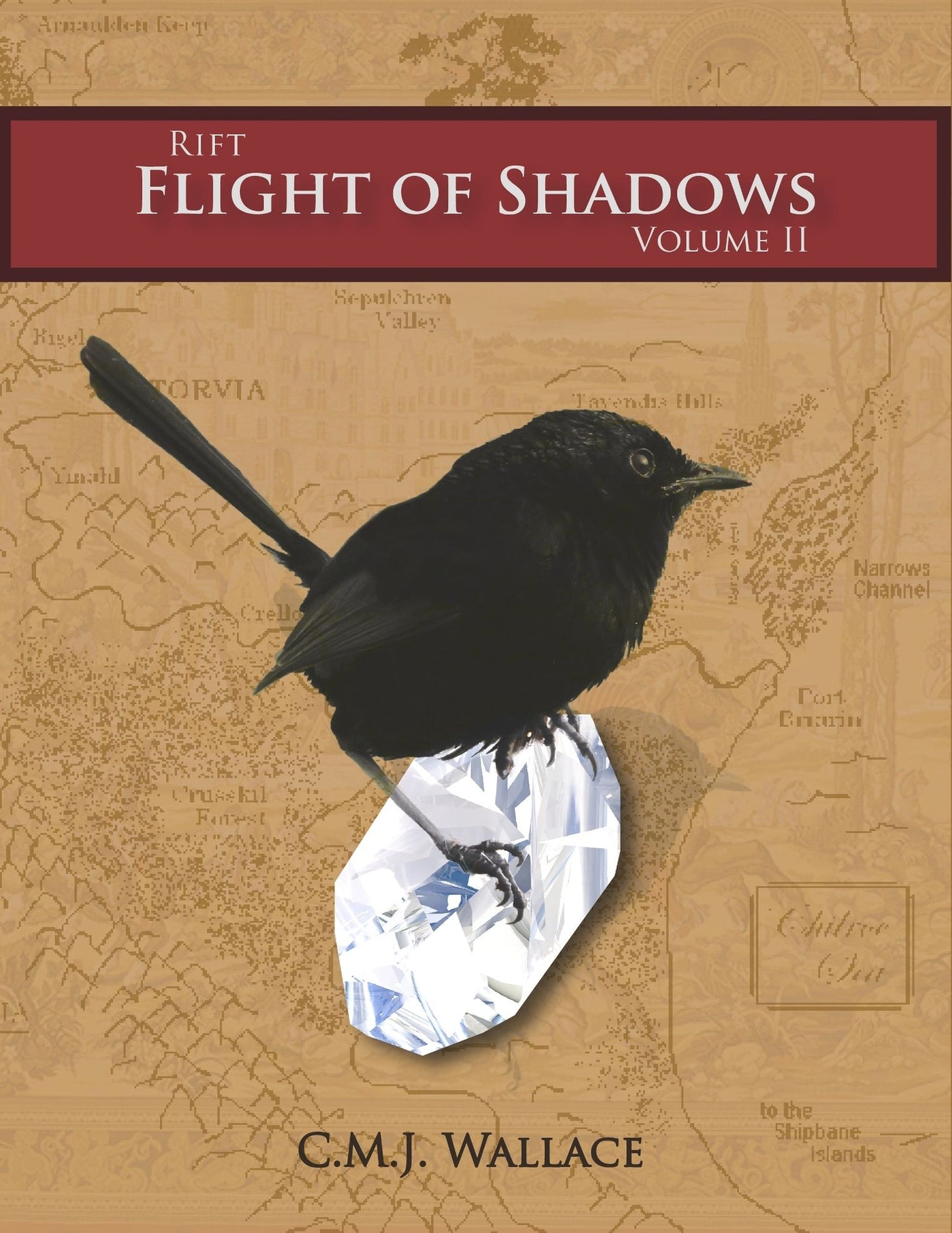 Flight of Shadows