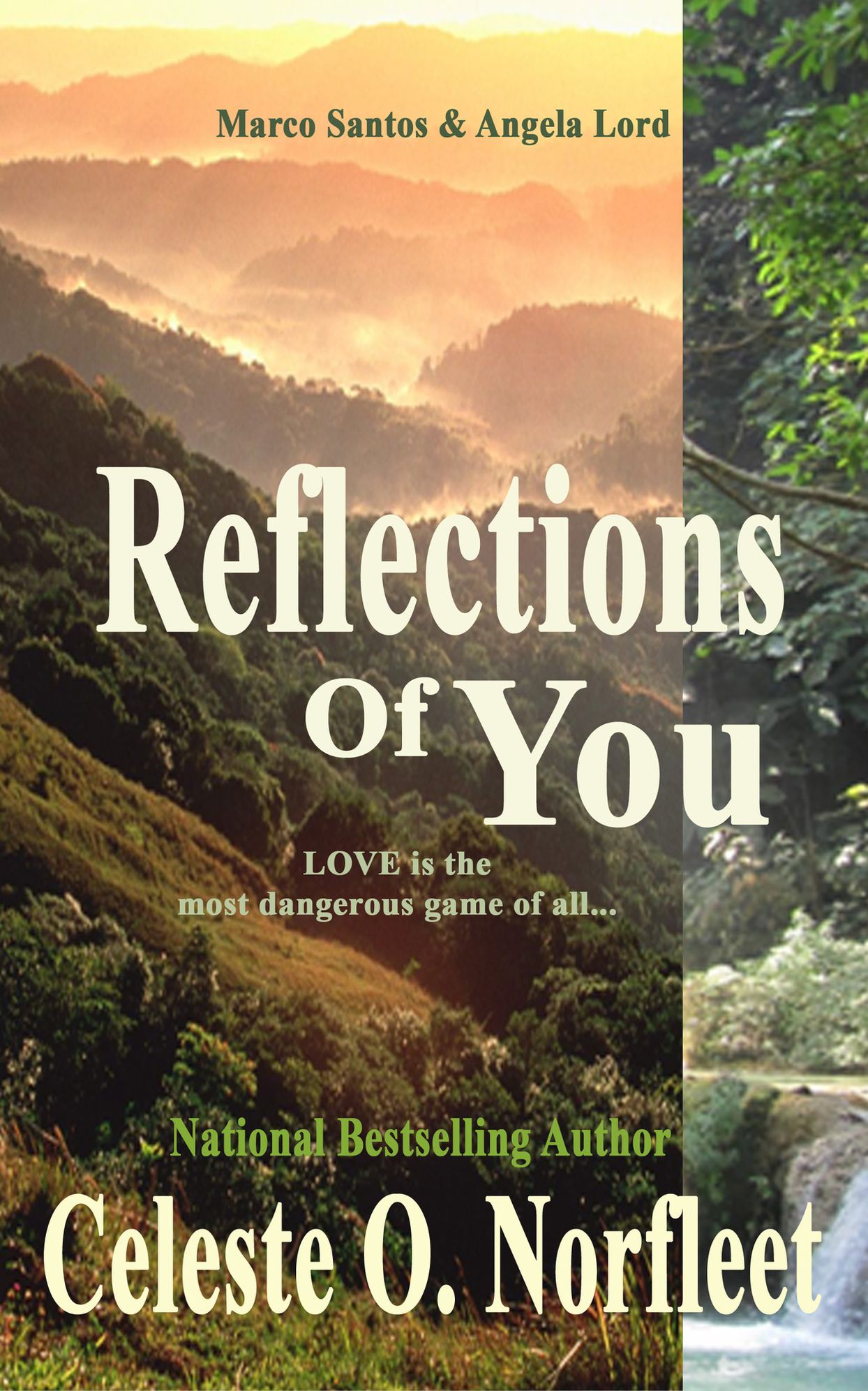 Reflections of You