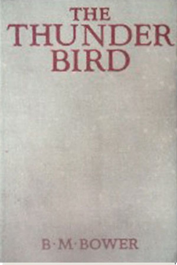 The Thunder Bird