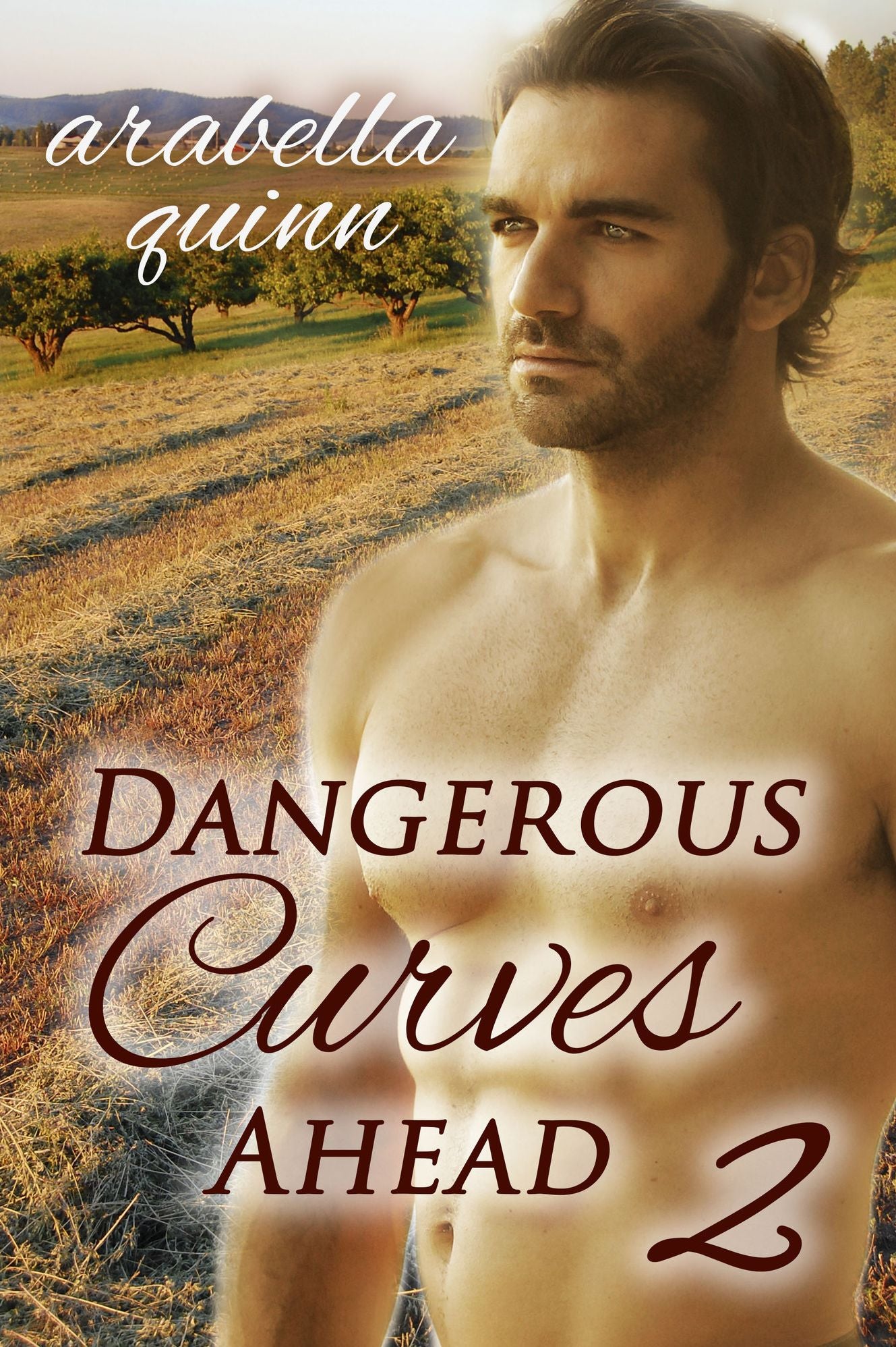 Dangerous Curves Ahead 2 (Cowboy / BBW erotic romance)