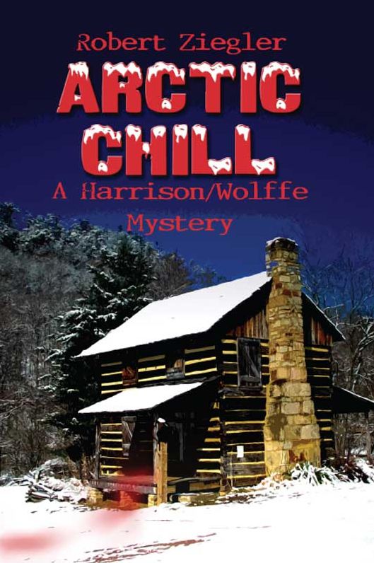 Arctic Chill: A Harrison/Wolffe Mystery