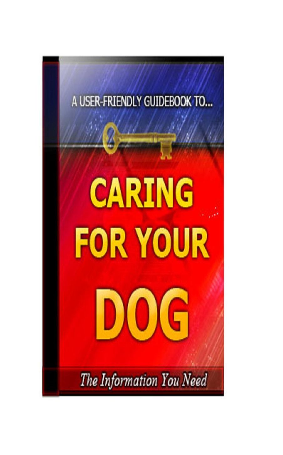 Caring For Your Dog