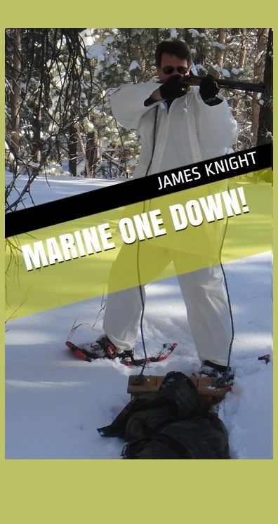 Marine One Down!