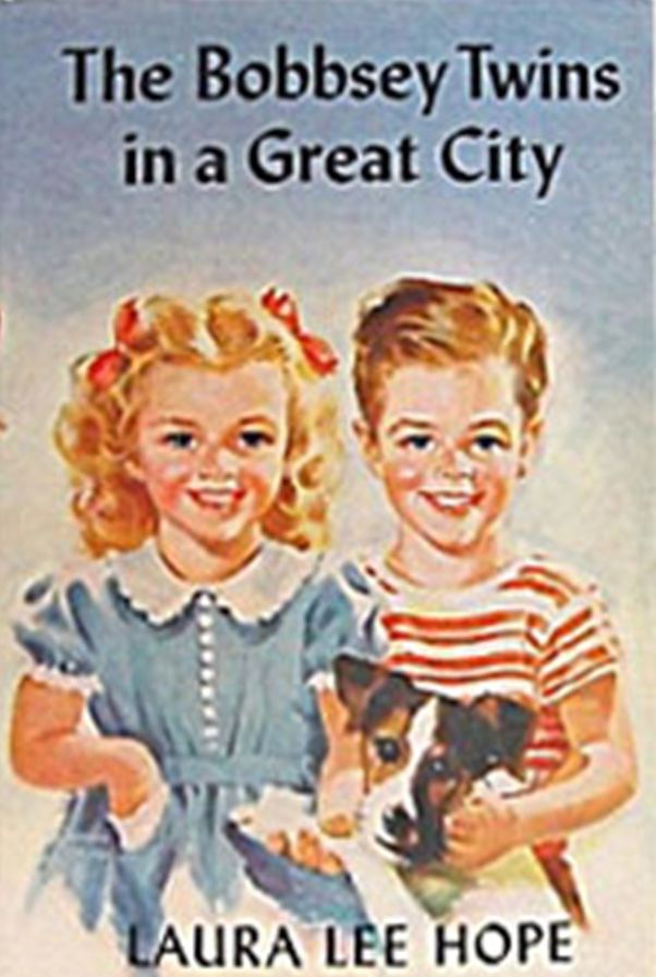 The Bobbsey Twins in a Great City