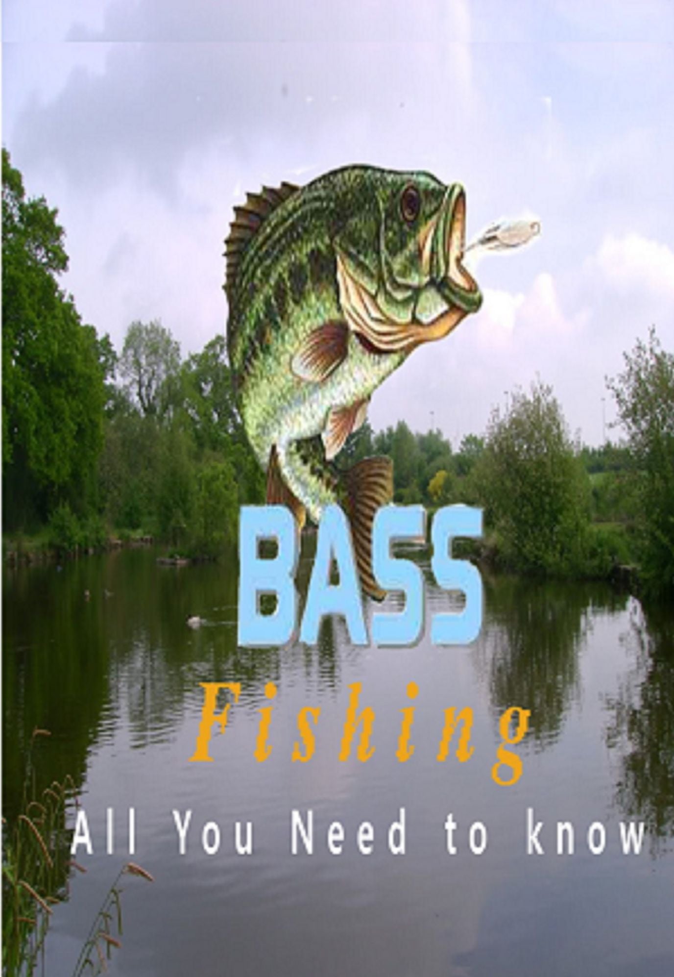 Bass Fishing: All You Need to Know How to Catch Next Big One