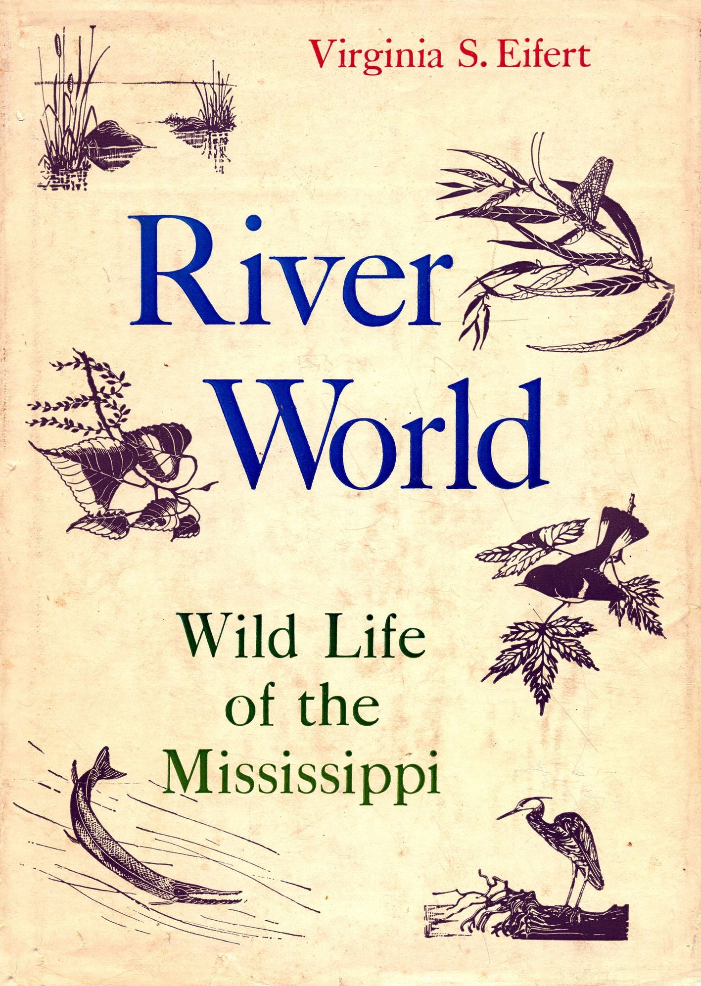 River World - Wild Life of the MIssissippi River