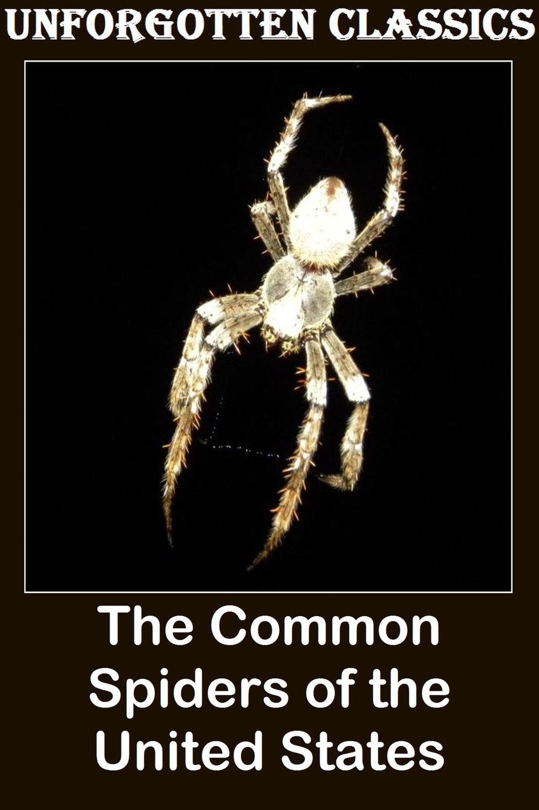 The Common Spiders of the United States by James Henry Emerton