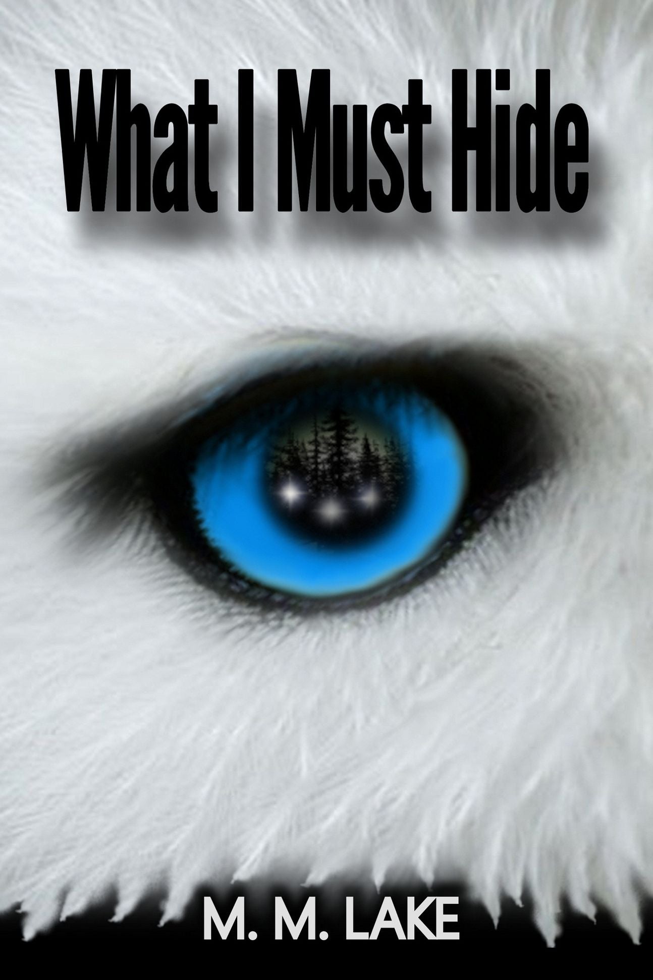 What I Must Hide (To Guard and To Guide, Book 1)