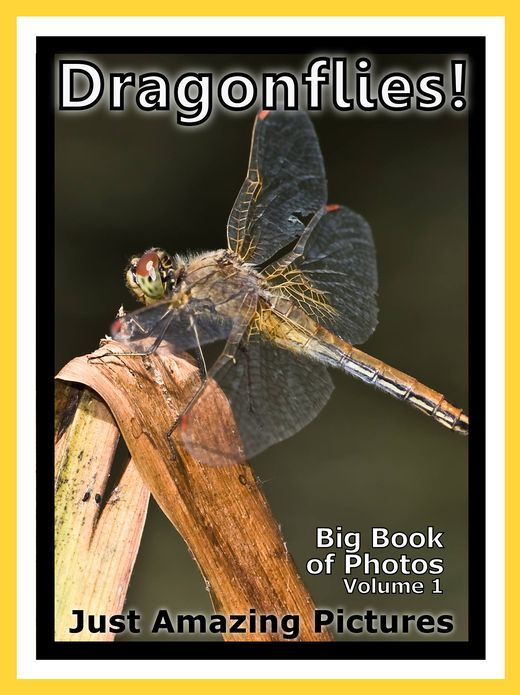 Just Dragonfly Photos! Big Book of Photographs & Pictures of Dragonflies, Vol. 1