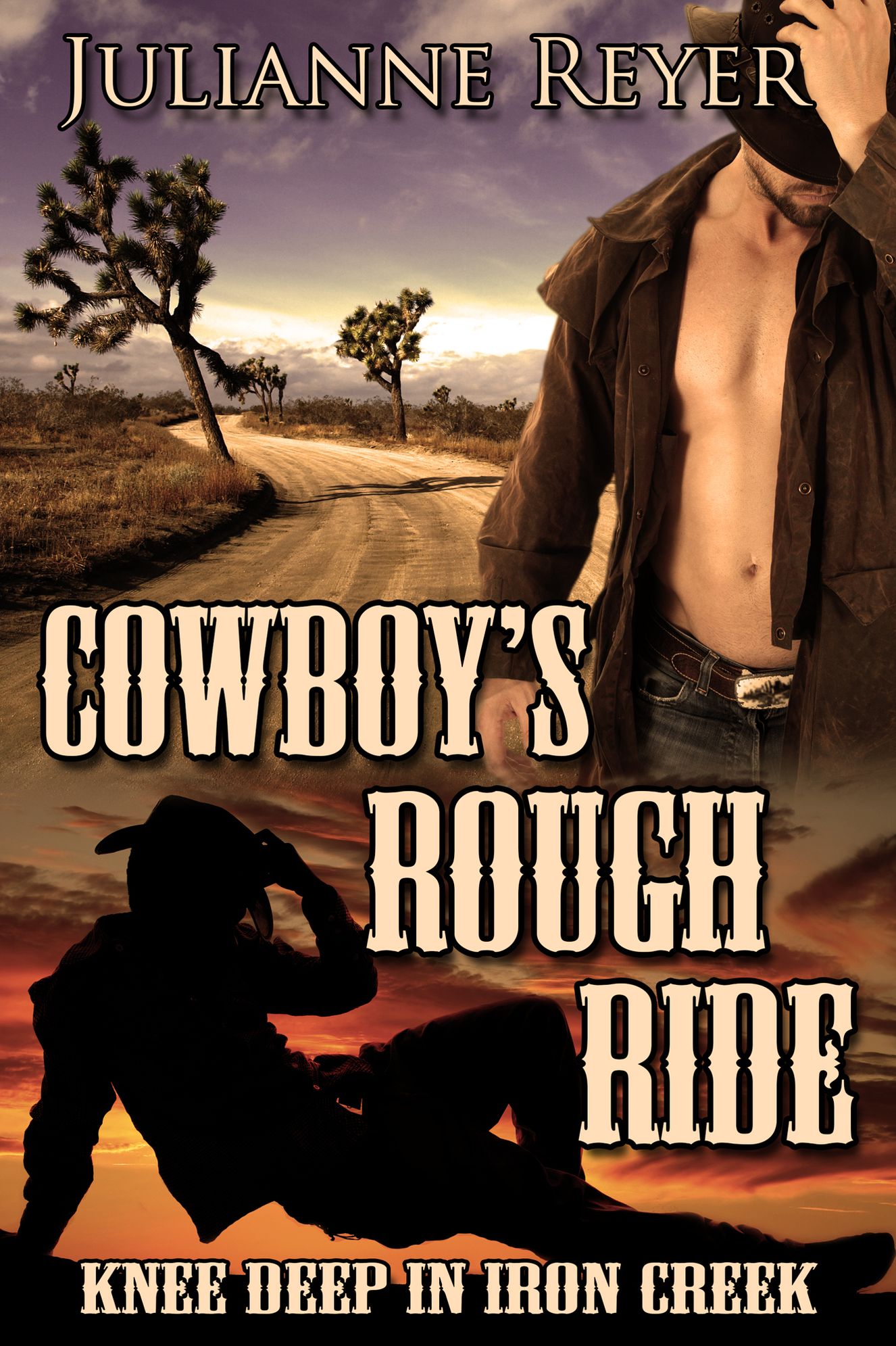 Cowboy's Rough Ride: Knee Deep in Iron Creek (Gay Erotica / Erotic Romance #1)