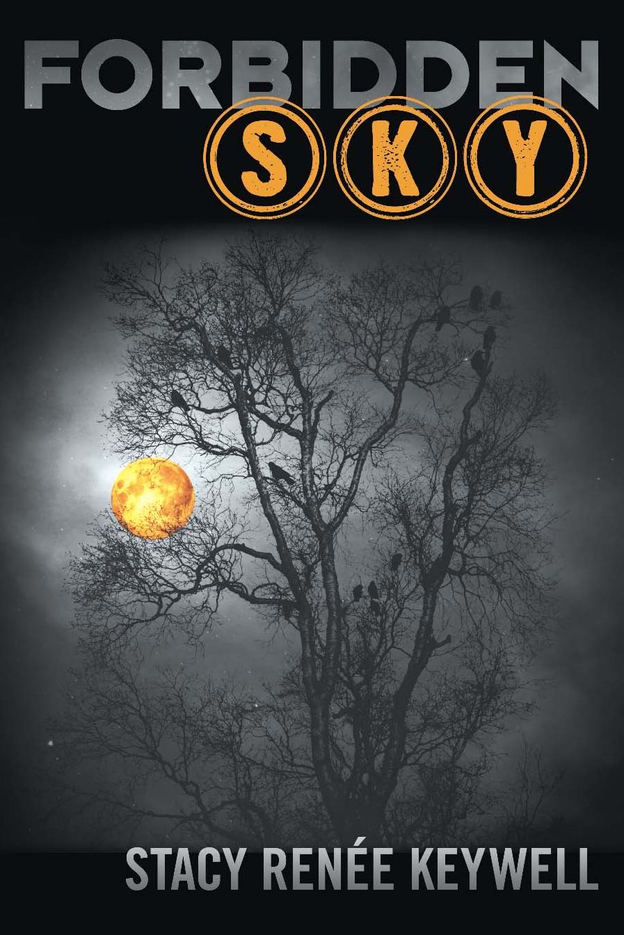 ForBIDden Sky